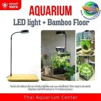 ราคา [COD] โคมไฟ LED ไฟวาบิ พร้อมฐานไม้ ไฟเลี้ยงตู้ปลา ไฟตู้ไม้น้ำ ไฟเลี้ยงแคคตัส ไฟเลี้ยงมาริโมะ Wabu-Kusa เลี้ยงไม้กึ่งบก (1731934205685761320)
