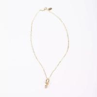 ราคา PLAYBOY รุ่น Accessoriesเพลย์บอย สร้อยคอพร้อมจี้คล้องโลโก้ประดับเพชร รุ่น ST-242N341CG (1730435542060271759)