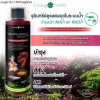 ราคา จุลินทรีย์ดูแลสมดุลในระบบน้ำ อ่างปลา ตู้ไม้น้ำ บำรุงปลา บำรุงต้นไม้น้ำ สังเคราะห์แสง PSB สารสกัดจากยีส | living Inside (1732251007543772658)