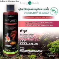 ราคา จุลินทรีย์ดูแลสมดุลในระบบน้ำ อ่างปลา ตู้ไม้น้ำ บำรุงปลา บำรุงต้นไม้น้ำ สังเคราะห์แสง PSB สารสกัดจากยีส | living Inside (1732302812962456917)