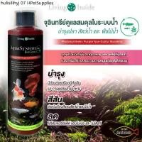 ราคา จุลินทรีย์ดูแลสมดุลในระบบน้ำ อ่างปลา ตู้ไม้น้ำ บำรุงปลา บำรุงต้นไม้น้ำ สังเคราะห์แสง PSB สารสกัดจากยีส | living Inside (1732312923577353541)