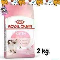 ราคา agencyshoprich ความคงทน ROYAL CANIN KITTEN Royal Canin cat food for kittens 4-12 months, size 2 kg. (1731290180190767875)