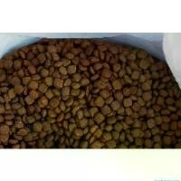 ราคา Baptisteshop01 คุณภาพรับประกันได้ บูม(Boom) อาหารสุนัขขนาด10กก เหมาะกับสุนัขทุกสายพันธุ์ สูตรพรีเมียมกลูโคซามิน ทุกอายุ เพิ่มน้ำหนักบำรุงขน อาหารแมว ไม่มีข้าวสาลี nekkocat food เม็ด แมว (1730017275020