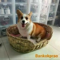 ราคา ตะกร้าหวาย ที่นอนสัตว์เลี้ยง สุนัขแมว ที่นอนหมา ที่นอนแมว ผลิตจากไม้หวายแท้ ทรงรี (สีเบจธรรมชาติ) Size M: W53xL68XH23 cm Bed for Pet (1729692138183887823)