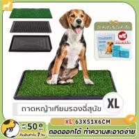 ราคา [TK ขายร้อน] ถาดฝึกฉี่สุนัข ถาดรองซับ ห้องน้ำสุนัข ถาดฝึกฉี่ แผ่นรองฉี่ ห้องน้ำสุนัข Dog Toilet Pad พร้อมหญ้าเทียม สำหรับฝึกให้สุนัขขับถ่าย (1732290607190803801)
