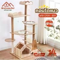ราคา [Bratvee] คอนโดแมว Cat Condo คอนโดแมวไม้ พร้อมหลุมนอนใส และกล่องนอนแมว (1731977145870550395)