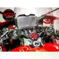 ราคา แผงคอ DUCABIKE FOR DUCATI PANIGALE V4 (1730456323406137507)