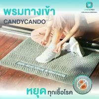 ราคา พรมทางเข้า พรมเช็ดเท้า พรมปูพื้น Zinc Oxide Nano Entrance Mat (1729484219682032522)