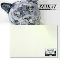 ราคา SEIKAI กระดาษวาดภาพ (WATER COLOUR PAPER 300g) 1 แพ็ค (1729926367927569047)
