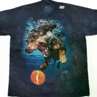 ราคา เสื้อยืด The mountain ใหม่ (1731887402405693512)