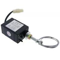 ราคา วาล์วเครื่องยนต์หยุดโซลินอยด์ปรับคันเร่งไฟฟ้า, อิเล็กทรอนิกส์, XHQ-PT, สำหรับเครื่องยนต์เบนซิน (1732283248128590981)