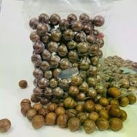 ราคา [พร้อมส่ง] แมคคาเดเมีย 500กรัม พร้อมทานแบบมีเปลือก(แถมที่แกะ)อบพร้อมทาน เนื้อแน่น หอม มีประโยชน์ ถั่ว โปรตีนสูง อาหาร (1732269429901460938)