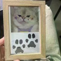 ราคา สัตว์เลี้ยง DIY แผ่นหมึกไม่ล้าง, ภาพที่กำหนดเอง, เหมาะสำหรับแมวและสุนัข, กรอบรูปที่ระลึก, อุ้งเท้าและรอยเท้าสำหรับสัตว์เลี้ยง (1732445053411100247)