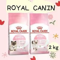 ราคา อาหารแมว Royal Canin Mother & Baby Cat / Kitten ขนาด 2 kg ยึดรูปแบบเดียวกัน (1732011140477847233)
