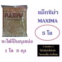 ราคา อาหารแมว แม็กซิม่า MAXIMA ขนาด 5 กิโลกรัม (1732277286368871585)