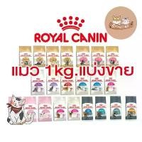 ราคา Royal Canin อาหารแมว แบบแบ่งขาย ถุง 1 kg (1732428926621222272)
