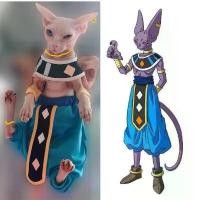 ราคา เสื้อผ้าสุนัข Sphynx ไม่มีขน, ธีมดราก้อนบอล เทพเจ้าแห่งการทำลายล้าง, Beerus, สำหรับพี่ชายผู้ใหญ่, ทำจากผ้าฝ้ายแท้, กันลื่น, กางเกงเปิดเป้า, ปี 2025 (1732215920305801166)