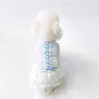 ราคา เสื้อผ้าสุนัข, ชุดเจ้าหญิงบางฤดูใบไม้ผลิและฤดูร้อน, ชุดสายรัดลูกไม้สีน้ำเงินและสีขาว, สำหรับสุนัขขนาดเล็กเช่นตุ๊กตาบิชอน, ปอมเมอเรเนียน, ชเนาเซอร์ (1732171136162563806)