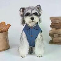 ราคา เสื้อผ้าสุนัข, สไตล์จีน, เสื้อกั๊กแมว, ฤดูร้อนบาง, ป้องกันผม, เหมาะสำหรับเท็ดดี้และสุนัขขนาดเล็ก, เสื้อผ้าสัตว์เลี้ยง, วินเทจ (1732381429901198675)