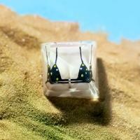 ราคา Handmade Custom Resin Bikini Keycap, เหมาะสำหรับแป้นพิมพ์เครื่องกล Cherry MX Crossline Switch, 2565 (1732242743605037870)