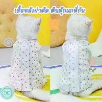 ราคา 【คนไทยแนะนำ!】 เสื้อหลังผ่าตัด เสื้อหลังผ่าตัดแมว หมา ทำหมัน กันเลีย กันเลียแผล Recovery Suit สุนัข ลูกหมา (1731502010455852999)
