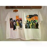 ราคา เสื้อลาย บีสเทิลขาว (ป้าย Fruit of the loom ) (1732144107353704421)