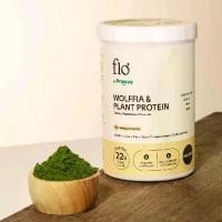 ราคา โปรตีนไข่ผำ ชนิดชงดื่มรสวนิลา flo wolffia plant based protein ไม่ส่วนผสมของถั่วเหลืองและซูคราโลส ขนาด 600 กรัม (1731657485793921132)
