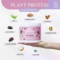 ราคา Plant Protein + Superfoods Acai & Kyoho (1730111446283683911)