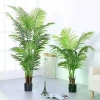 ราคา ต้นปาล์ม ต้นไม้เทียม ไม้ประดับ ไม้มงคล ตกแต่งบ้านและสวน/แต่งโรงแรม/ออฟฟิศ/คาเฟ่ Plant-L SWK (1730522988116543756)