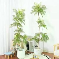 ราคา ต้นมะขาม มินิมอล ต้นไม้ปลอม ต้นไม้แต่งบ้าน ราคาส่ง พร้อมส่งในไทย Plant-L (KAM) (1730147917589810141)