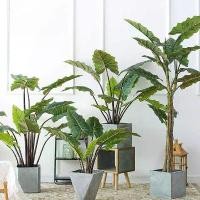 ราคา ต้นไม้ปลอม ต้นฟิโลเดนดรอน ไม้ประดับ ใบใหญ่ มีหลายขนาดให้เลือก Plant-L(CHY) (1730478153312078092)