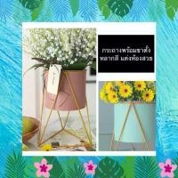 ราคา TS061J012 TROPACL กระถางขาตั้งสามเหลี่ยมทรงสูง กระถางทรงสูง กระถางต้นไม้ กระถางพร้อมขาเหล็ก PLANT POT กระถางพร้อมขาตั้ง (1729603034065504266)