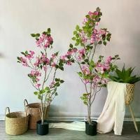 ราคา เฟื้องฟ้า รุ่นใหม่ ต้นไม้ปลอมแต่งบ้าน สีสวยสด ต้นไม้แต่งบ้าน บ้านและสวน(พร้อมส่ง)Plant-L(SKY) (1732165673847850973)