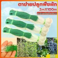 ราคา ตาข่ายปลูกพืชผัก โครงไม้เลื้อย ค้างปลูกผัก อวนปลูกผัก Plant Support (1730539184637642857)