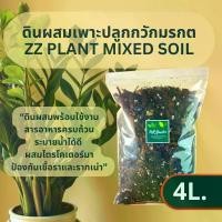 ราคา [จัดส่งทันที] ZZ plant mixed soil ดินผสม ปรุงสำเร็จ ผสมสารป้องกันเชื้อราและรากเน่า เหมาะกับลิ้นมังกร Sansevieria ต้นกวักมรกต Zamioculcas Zamifolia (1731581347073984467)