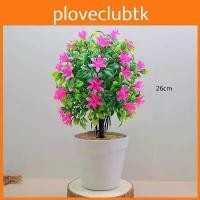 ราคา Murraya Exotica Plant, ประดิษฐ์, พร้อมกระถางพลาสติก, สำหรับตกแต่งบ้านและอุปกรณ์ถ่ายภาพ (1732412527175501034)