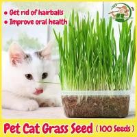 ราคา เมล็ดหญ้าแมว เมล็ดข้าวสาลี เมล็ดพันธุ์ 100 เมล็ด Natural Organic Cat Grass Seeds Hydroponic Plant ออแกนิกส์ หญ้าเเมว สำหรับสัตว์เลี้ยง ข้าวสาลีแมว หญ้าแมว ต้นอ่อนข้าวสาลี สำหรับป (1731584439212738007)
