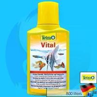 ราคา COD Tetra Vital 100ml 250ml / ArowanaVital 500ml วิตามินสำหรับปลา aqua fish vitamin เร่งสีปลา เพื่อสุขภาพ (1731672174212449575)