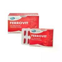 ราคา Ferrovit For Women ( Iron, Folic acid and Vitamin B 12 Formula ) (1732415255571367188)