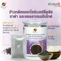 ราคา BASILL เครื่องดื่มข้าวกล้องงอกไรซ์เบอร์รี่ผสมงาดำและคอลลาเจนเป้ปไทด์ ปราศจากนม 1 กระปุก 15 ซอง 225 กรัม รางวัล Premium Herbal Products 2023 (1729614572852513133)