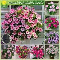 ราคา พร้อมส่งจากไทย เมล็ดพันธุ์ แพงพวย หอยขม แพงพวยคละสี ดอกแพงพวย บรรจุ 50 เมล็ด Mixed Periwinkle Seeds Vinca Flower Seed แพงพวยไทย เมล็ดแพงพวย เมล็ดดอกไม้ บอนสีถูก เมล็ดบอนสี ต้นไม้ (1732366705484072255)