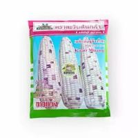 ราคา เมล็ดข้าวโพดขาวม่วง Waxy Corn Seed ตราตะวันต้นกล้า ขนาด500กรัม (1732316353271990847)