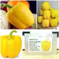 ราคา เมล็ดพันธุ์ พริกหวานสีเหลือง Golden Cal Wonder Sweet Pepper Seed บรรจุ 30 เมล็ด (1729582829368084764)