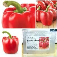 ราคา เมล็ดพันธุ์ พริกหวานสีแดง Red Sweet Pepper Seed บรรจุ 40 เมล็ด (1729582828730222876)