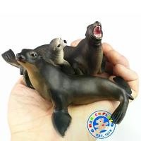 ราคา Monkey Toys - โมเดลสัตว์ แมวน้ำ สิงโตทะเล พ่อแม่ลูก จำนวน 3 ตัว (จากหาดใหญ่) (1731549032963737127)