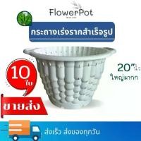 ราคา [ขายส่ง10ใบ] กระถางเร่งราก 12 นิ้ว 15 นิ้ว 20 นิ้ว กระถาง Air pot สำเร็จรูป กระถางต้นไม้ กระถาง (1732162564286416507)