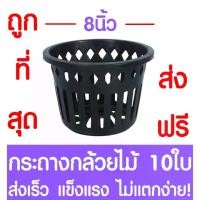 ราคา [COD] [Tiktok]กระถางกล้วยไม้ กระถางต้นไม้ ขนาด 8 นิ้ว 10ใบ กระถางพลาสติก กล้วยไม้ กระถางกลม กระถางต้นไม้พลาสติก กระถางปลูกต้นไม้ กระถางดำ Flower pot (1732265087156782902)