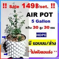 ราคา กระถาง air pot สีขาว 5 Gallon กระถางแอร์พอต ปลูก420 (air pot) size 30*30 cm (White) กระถางต้นไม้ กระถางพลาสติก สินค้าขายดี (1730882687015946263)