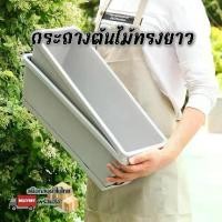 ราคา กระถางทรงยาวพร้อมถาดรอง กระถางทรงสี่เหลี่ยม กระถางพลาสติกอย่างหนา ปลูกผัก ปลูกกระบองเพชร(square pot) (1732254704005515157)