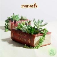 ราคา Old Book Resin Pot กระถางตกแต่งสวน กระถางเรซิน กระถางเล็ก กระถางไม้อวบน้ำ กระถางกระบองเพชร กระถางต้นไม้ 10.5x8cm หนังสือ (1729567560855292805)